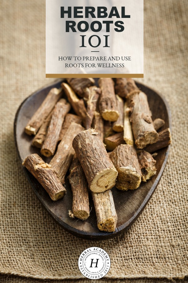 Herbal Roots 101: How to Prepare and Use Roots for Wellness | Herbal Academy | Use herbal roots for wellness! In this post, you'll learn when to harvest roots, how to prepare them for use, and you'll even find several recipes to try.