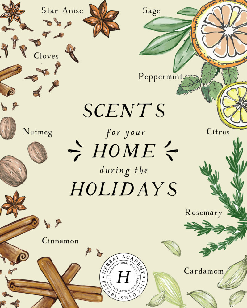 5 Ways to Make Your Home Smell Good for the Holidays | Herbal Academy | Make your home smell good this holiday season without having a negative impact on your health. Here are 5 safe and natural ideas to get you started!