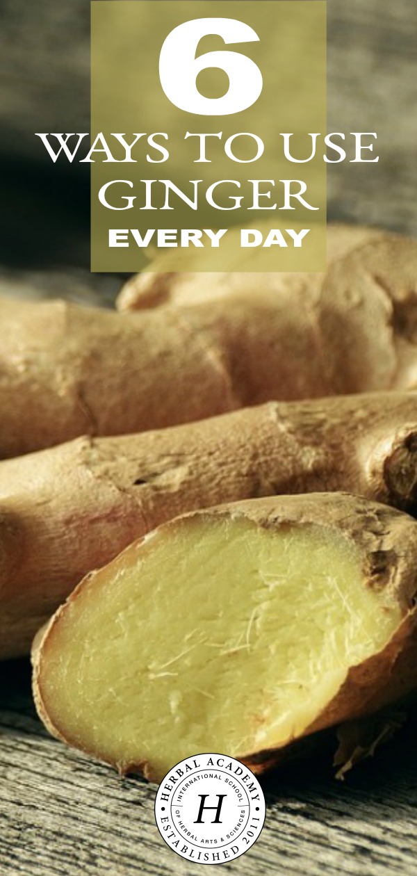 6 Ways To Use Ginger Every Day | Herbal Academy | Ginger root is most commonly used when cooking in the kitchen, but there are many ways you can use ginger every day for health and wellness.