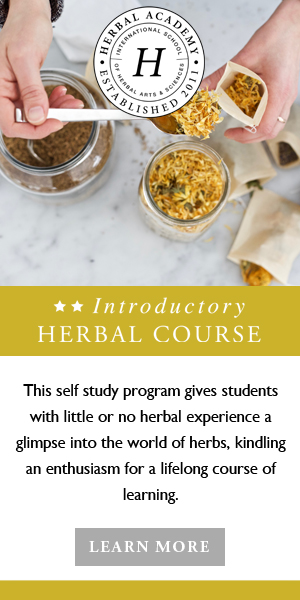 Begin your Herbal Journey in the Introductory Herbal Course