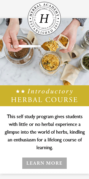 Herbalism Courses for all levels