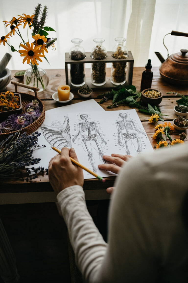 Clinical Herbalist Course Package Herbal Academy Online Herbalism