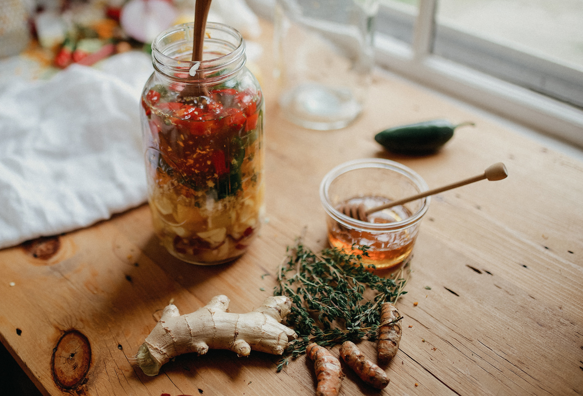 Introductory Herbalism by Herbal Academy - fire cider