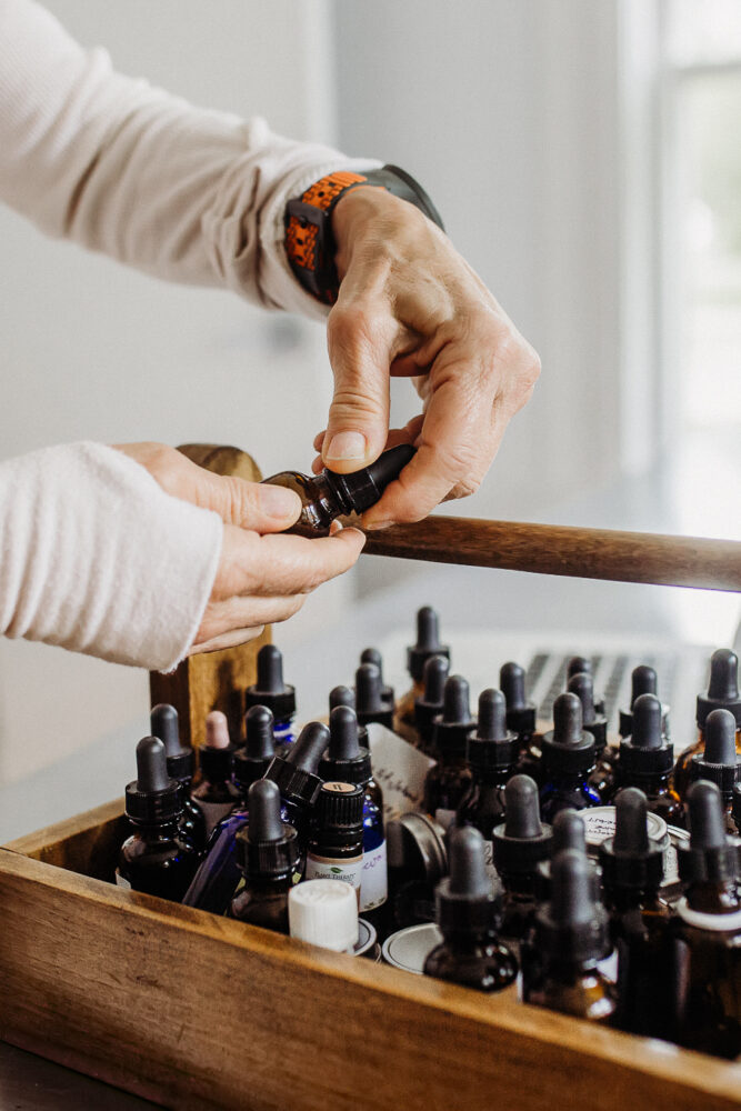 Professional Herbalist Path Package Herbal Academy Online Herbalism Courses