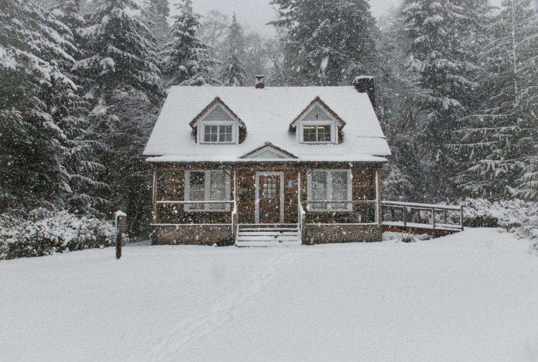 How To Cope with Cabin Fever At Winter’s End | Herbal Academy | The last weeks of winter can oftentimes feel the most challenging. Here are some ways to use herbs for coping with cabin fever as winter's end.