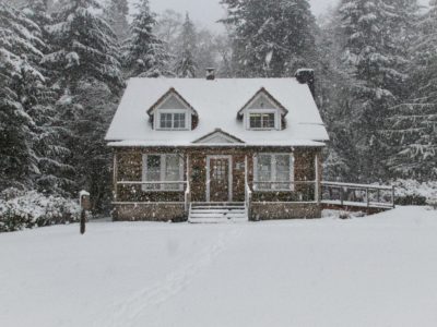 How To Cope with Cabin Fever At Winter’s End | Herbal Academy | The last weeks of winter can oftentimes feel the most challenging. Here are some ways to use herbs for coping with cabin fever as winter's end.