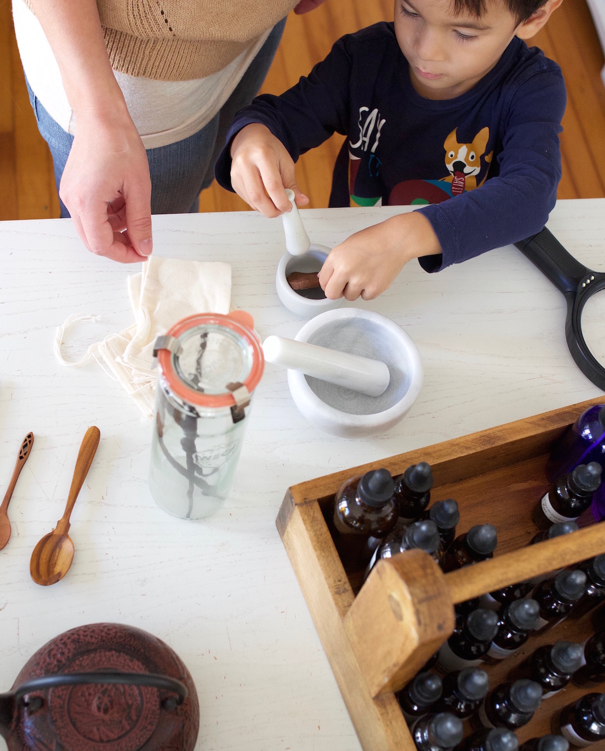 How To Care For Your Family Naturally As A Family Herbalist | Herbal Academy | There are many ways one can practice as an herbalist—one very popular way is being a Family Herbalist! Learn all about it in this post!