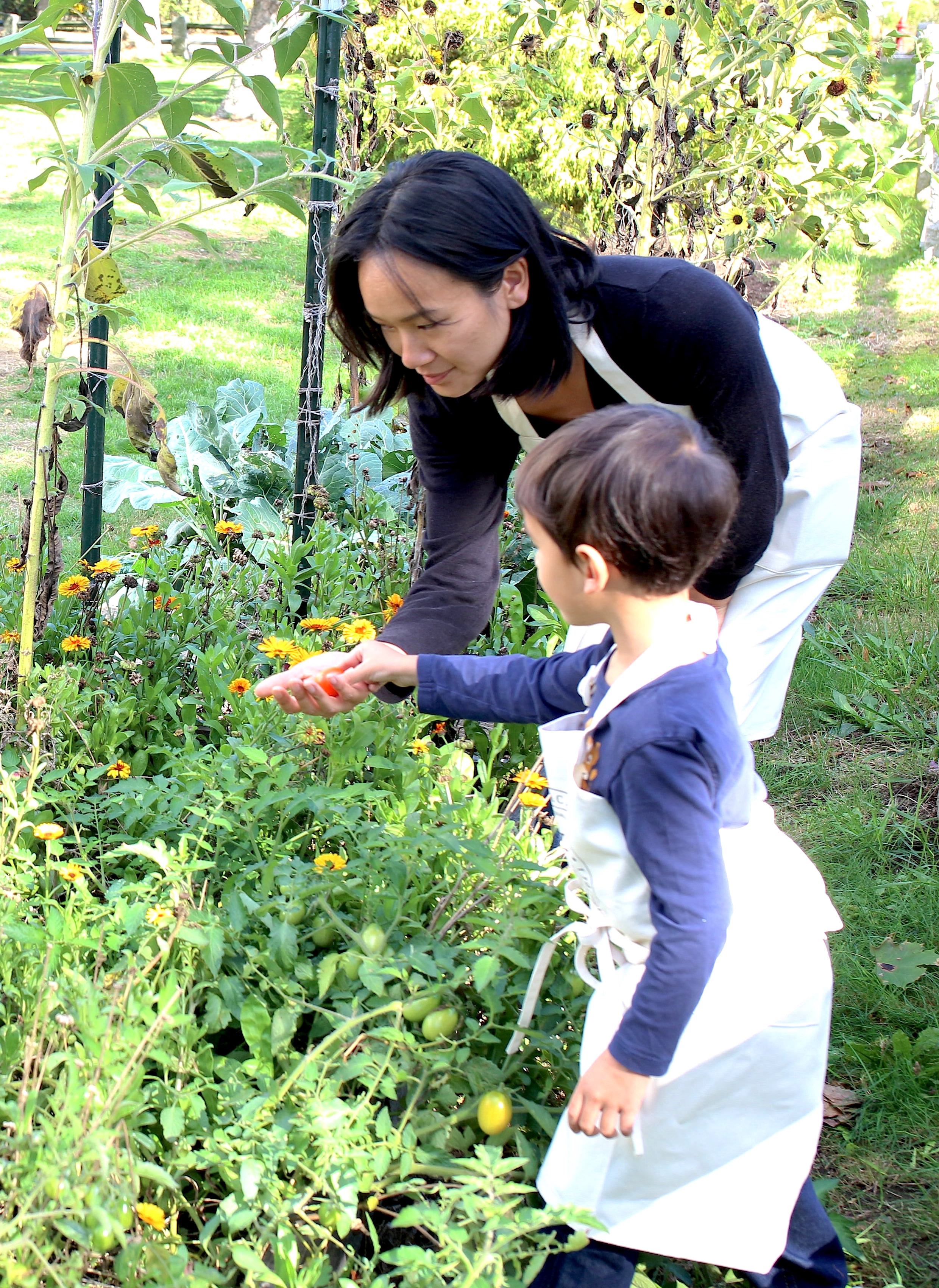 How To Care For Your Family Naturally As A Family Herbalist | Herbal Academy | There are many ways one can practice as an herbalist—one very popular way is being a Family Herbalist! Learn all about it in this post!