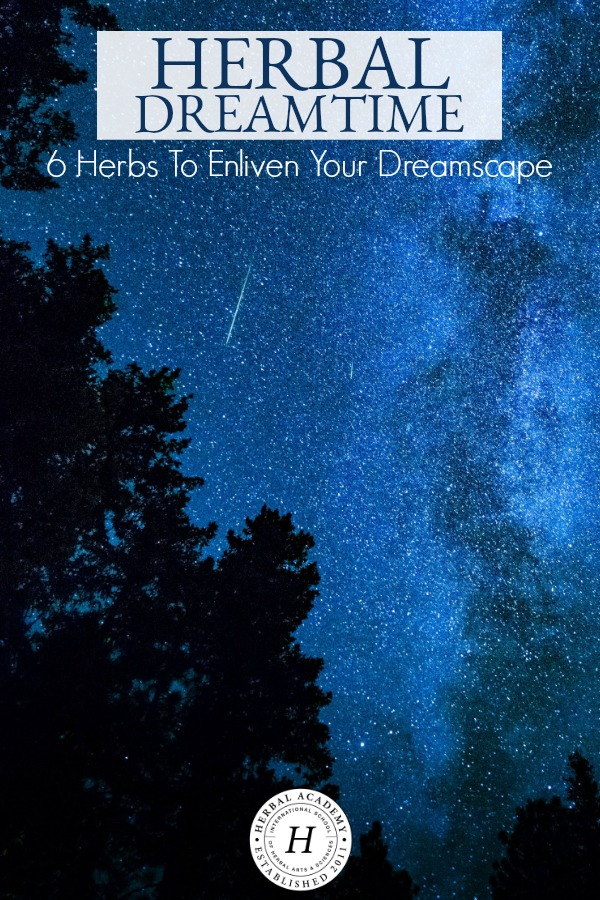 Herbal Dreamtime: 6 Herbs To Enliven Your Dreamspace | Herbal Academy | If you who have difficulty dreaming or remembering your dreams, here are several herbs to draw from to stimulate dreaming at night.