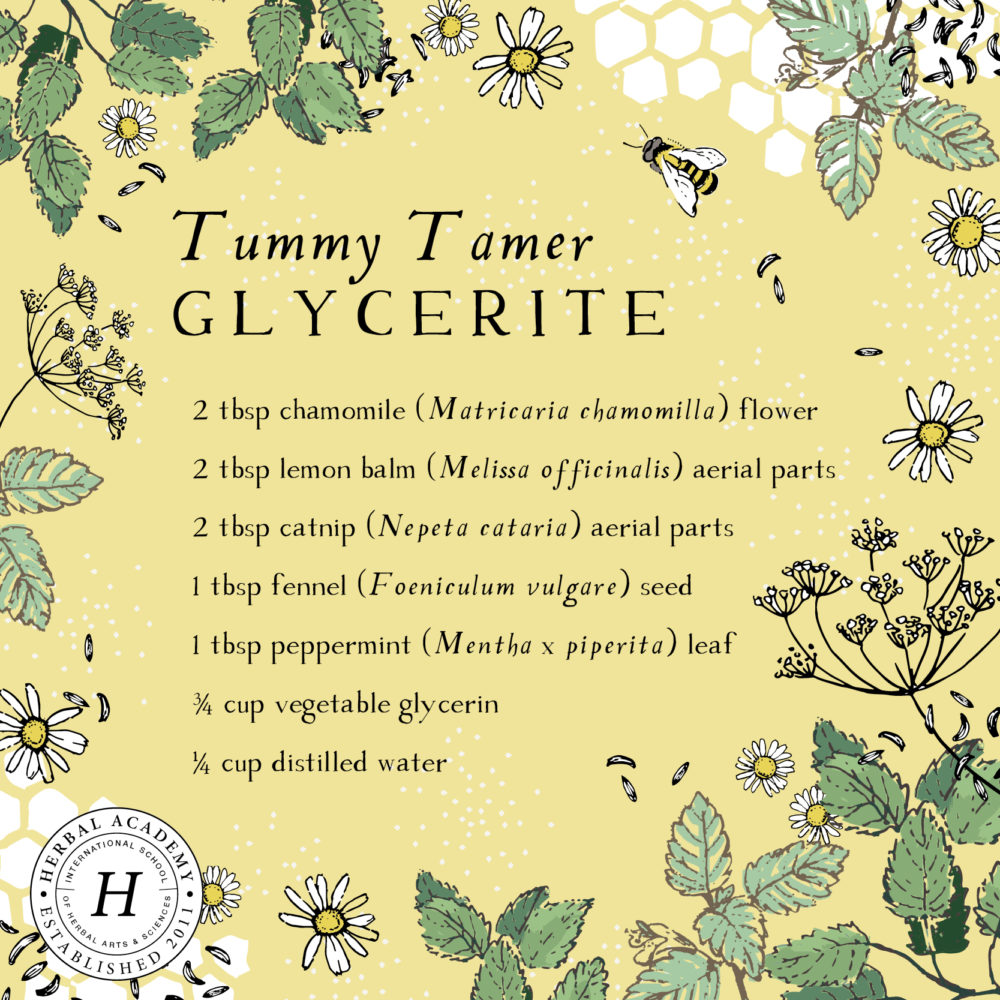 DIY Tummy-Soothing Glycerite for the Whole Family | Herbal Academy | If you find yourself suffering from stomach cramps, gas, pain, bloating, and general unease this tummy-soothing glycerite can come to your assistance!