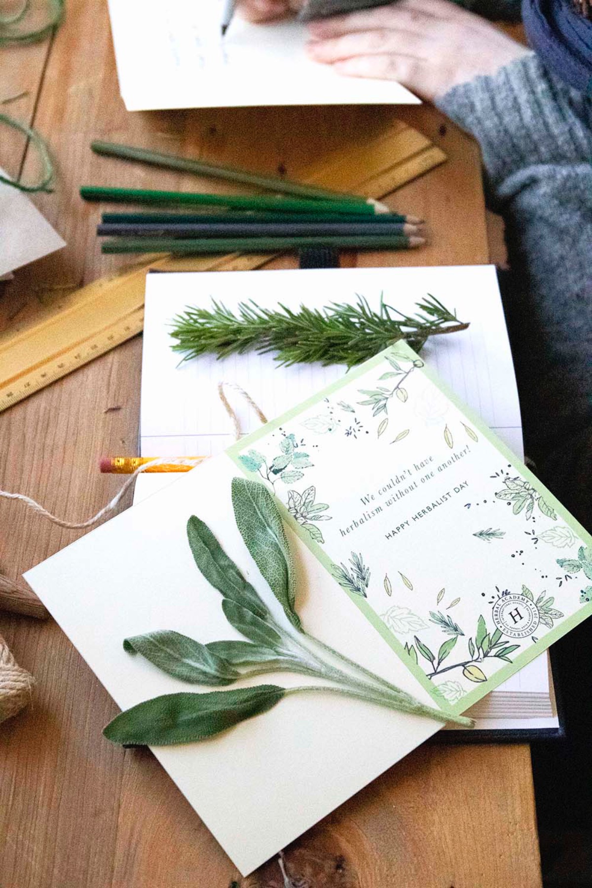 How To Honor Herbal Teachers With Your Stories | Herbal Academy | Herbalist Day is April 17th, and one way you can honor herbal teachers is by sharing your stories with the person who touched and inspired you.