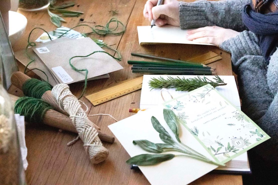 How To Honor Herbal Teachers With Your Stories | Herbal Academy | Herbalist Day is April 17th, and one way you can honor herbal teachers is by sharing your stories with the person who touched and inspired you.