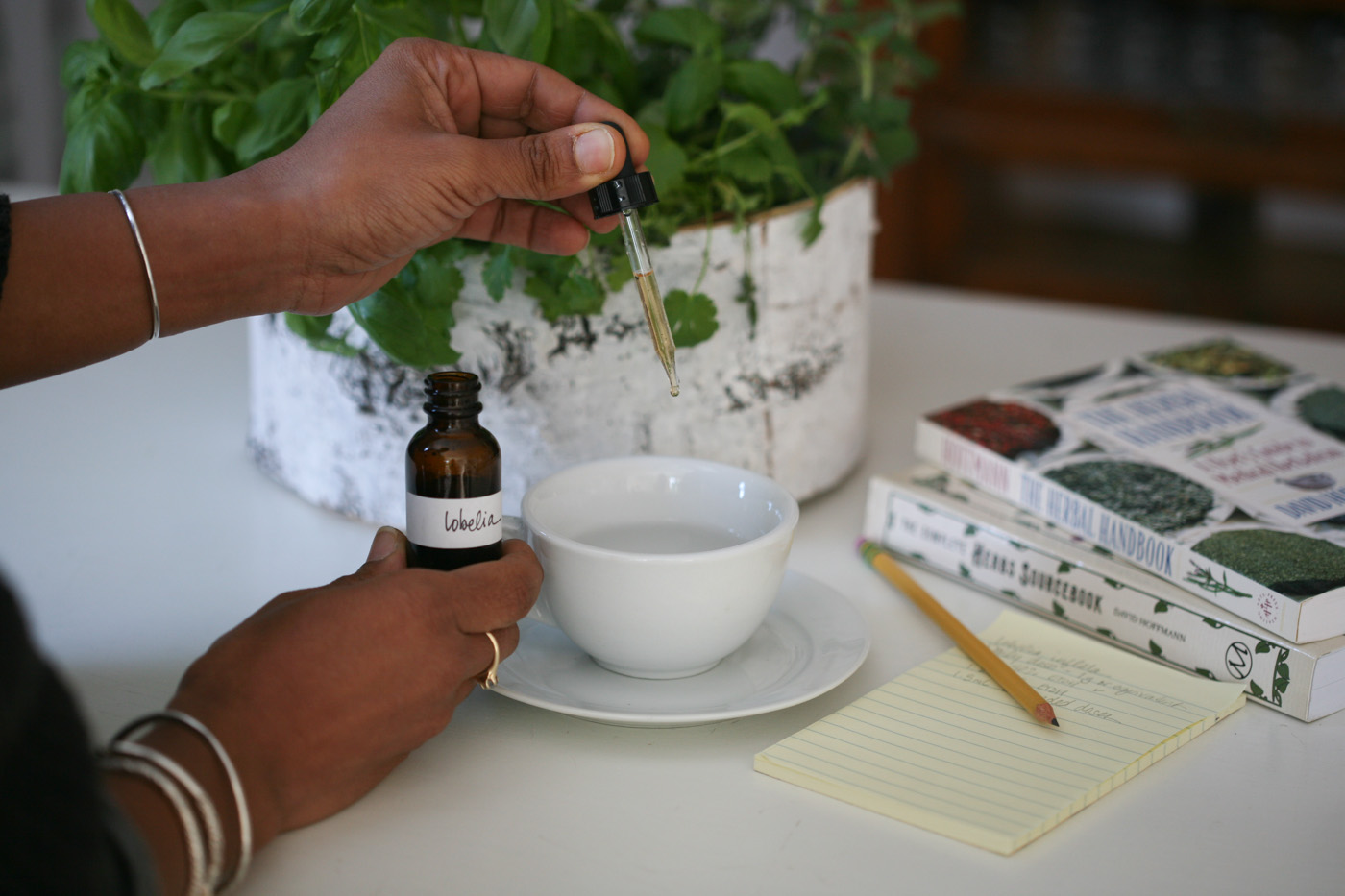 How To Use Low-Dose Botanicals Like Lobelia Safely | Herbal Academy | Learn what low-dose botanicals are and proper ways to use them safely. We'll look specifically at the herb lobelia (Lobelia inflata).