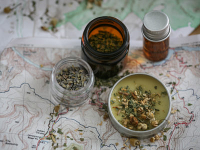 herbs for travel