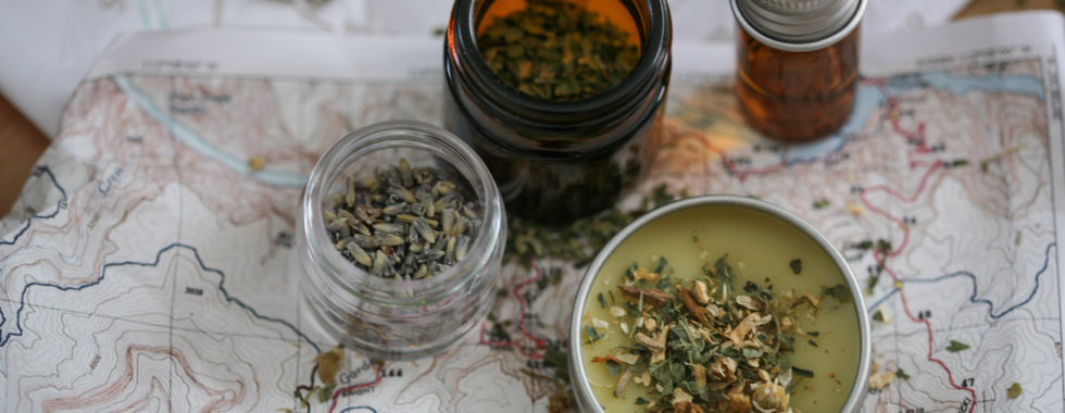 herbs for travel