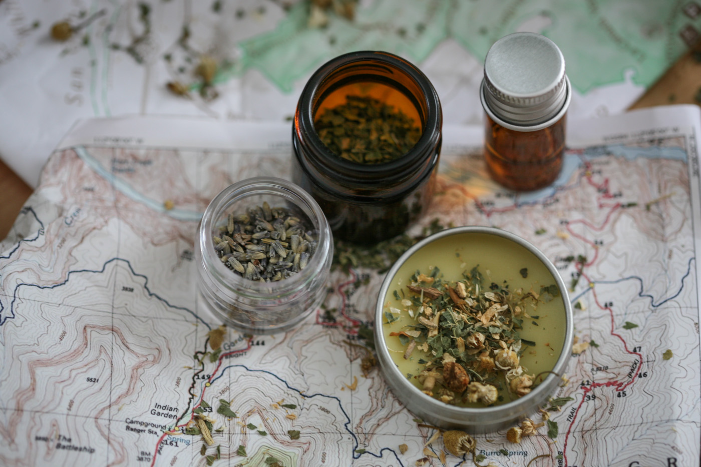 Herbal Travel Essentials For The Adventurous Traveler | Herbal Academy | If you're planning on some adventurous travel in the near future, this herbal travel essentials guide will help you find the herbs and preparations to take with you.