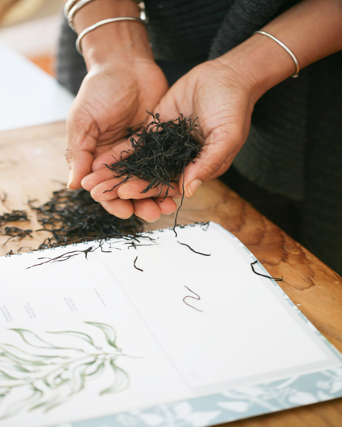 Seaweed 101: What You Need To Know | Herbal Academy | Seaweed can be a nutritive, wellness-promoting, and tasty addition to your herbal formulas, diet, and self-care routine! Read on to learn more!