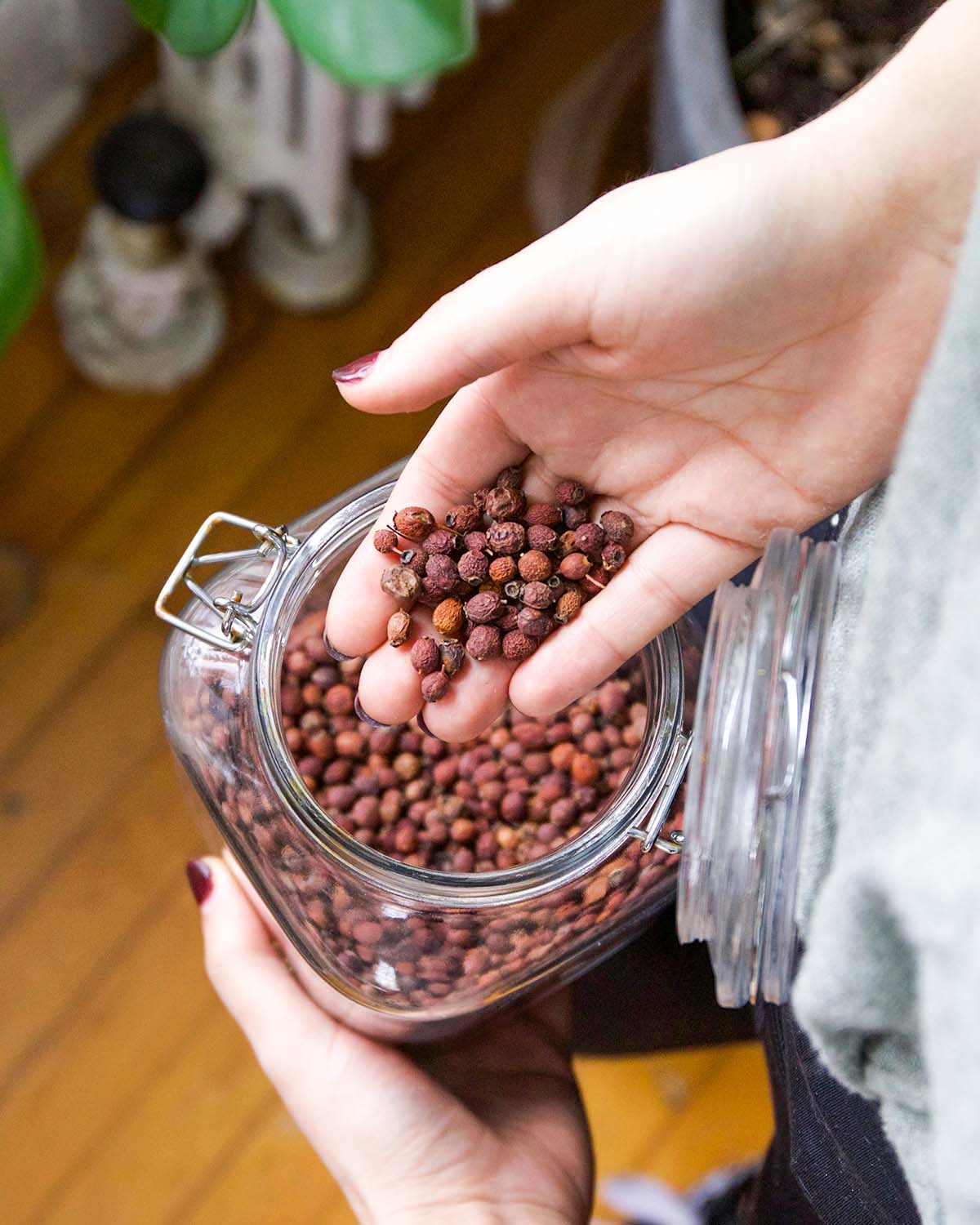 woman's hand holding dried hawthorn berries over a jar of berries