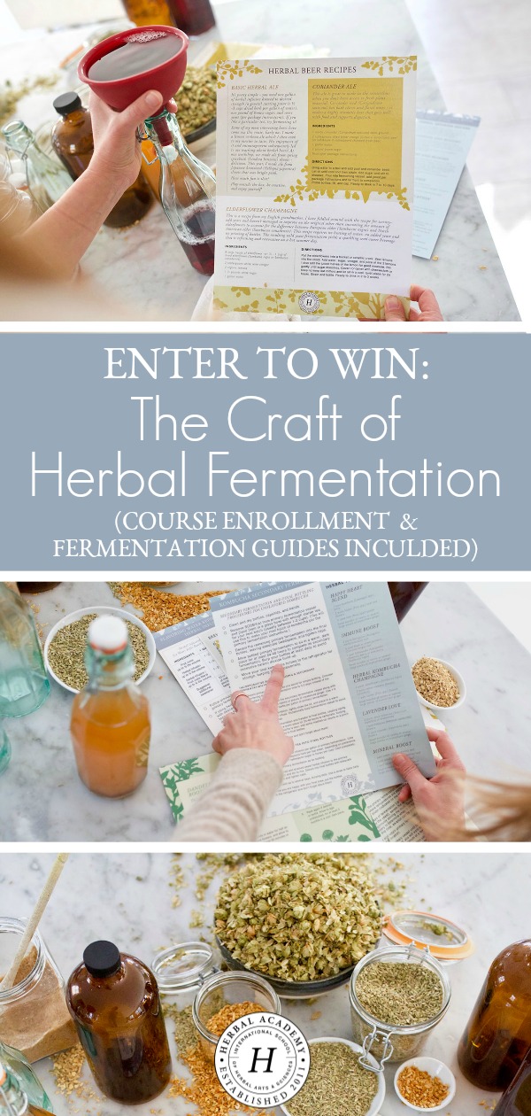 Win Enrollment To The Craft Of Herbal Fermentation Course | Herbal Academy | Spring is here, and we are giving away The Craft Of Herbal Fermentation course and one set of fermentation tutorial and recipe guides to one lucky winner!