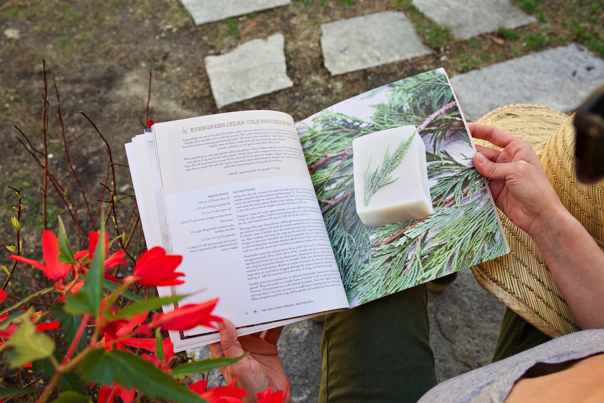 DIY Firming Wild Rose Undereye Cream  | Herbal Academy | Learn all about wild rose in this wild rose herbal monograph and get a recipe for a DIY firming wild rose undereye cream to try as well!