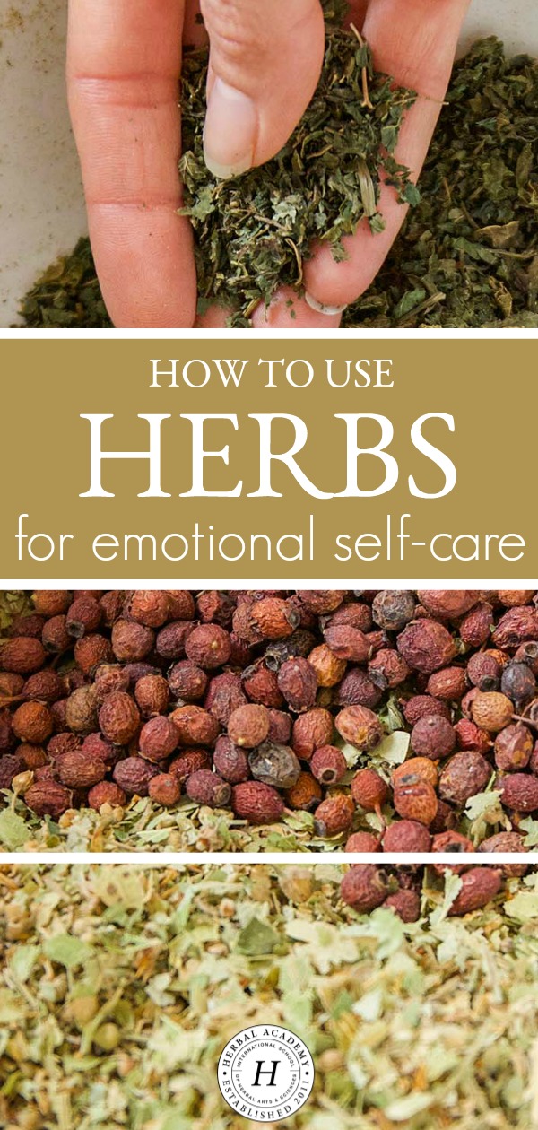 Spiritual Heart Medicine: How To Use Herbs for Emotional Self-Care | Herbal Academy | Tending to emotional self-care, or the spiritual heart, is necessary for overall vitality. Here are some herbs and recipes to help you get started.