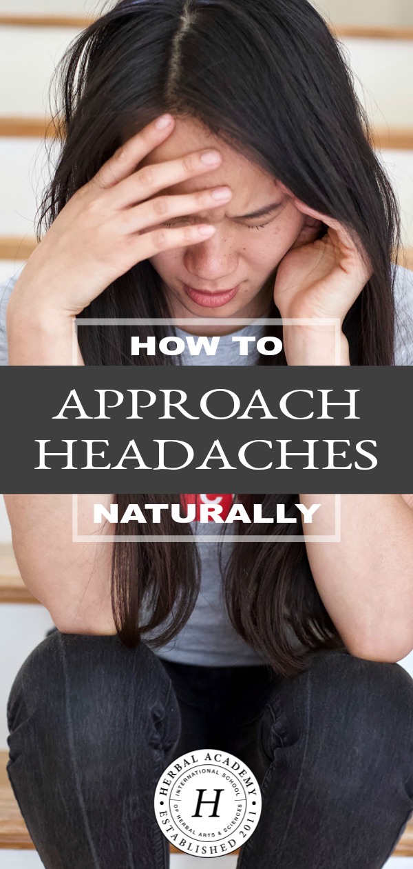 How To Approach Headaches Naturally | Herbal Academy | Learn how dietary, herbal, and lifestyle factors can help you keep headaches at bay or approach headaches naturally if they do occur.