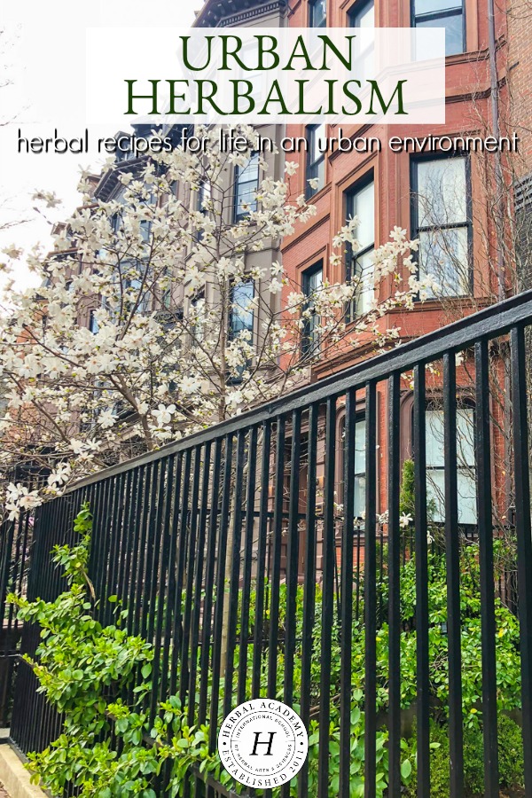 Urban Herbalism: Herbal Recipes For Life In An Urban Environment | Herbal Academy | Herbs can help balance common struggles that urban environments introduce. Learn about urban herbalism and how to support a sustainable city life today.