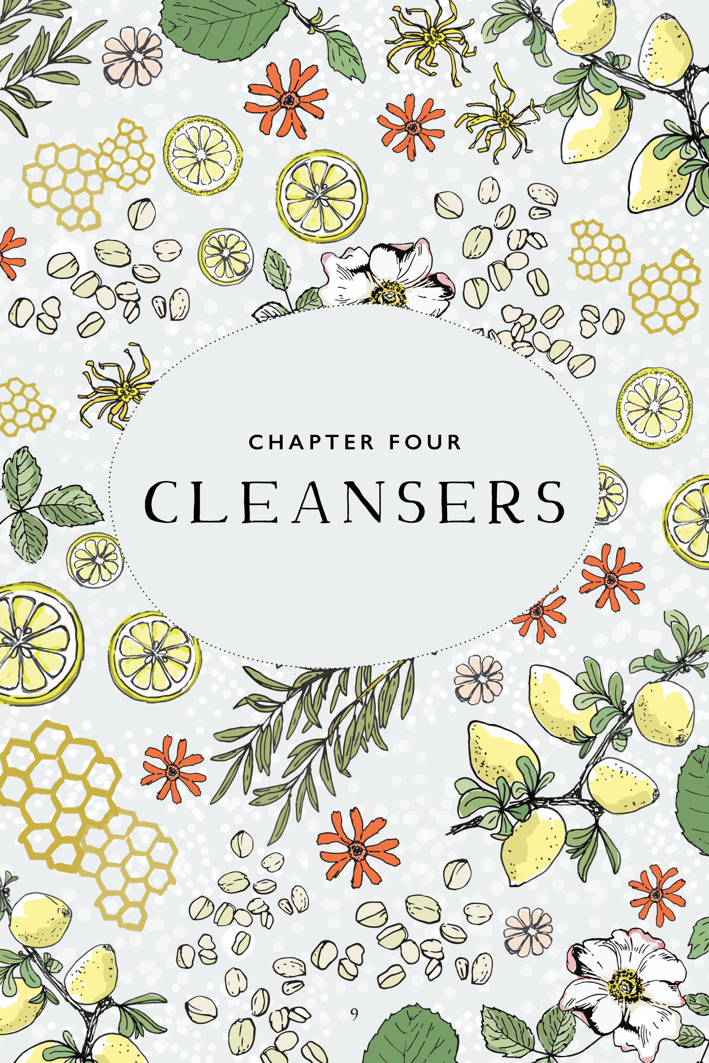 Botanical Skin Care Recipe Book Page Preview – Cleansers