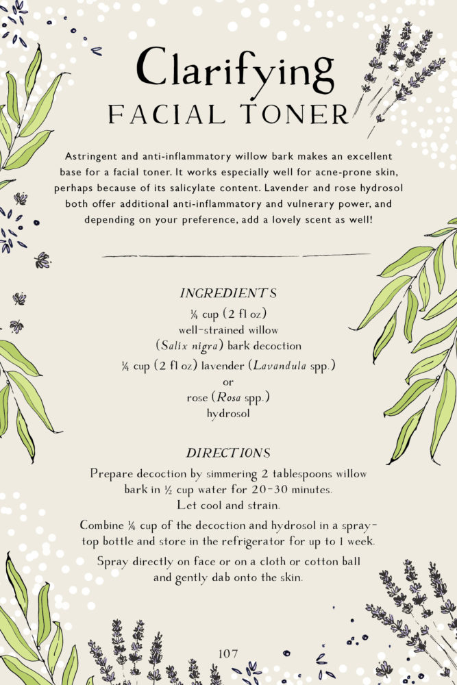 Botanical Skin Care Recipe Book Page Preview – Clarifying Facial Toner