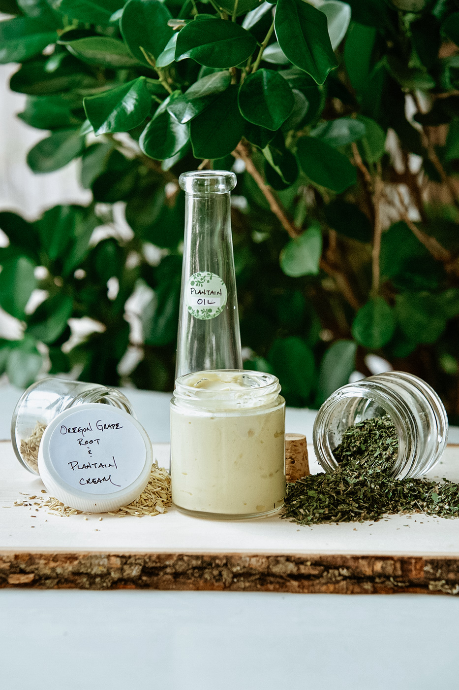 Herbal Academy - the Botanical Skin Care Course - botanical salves