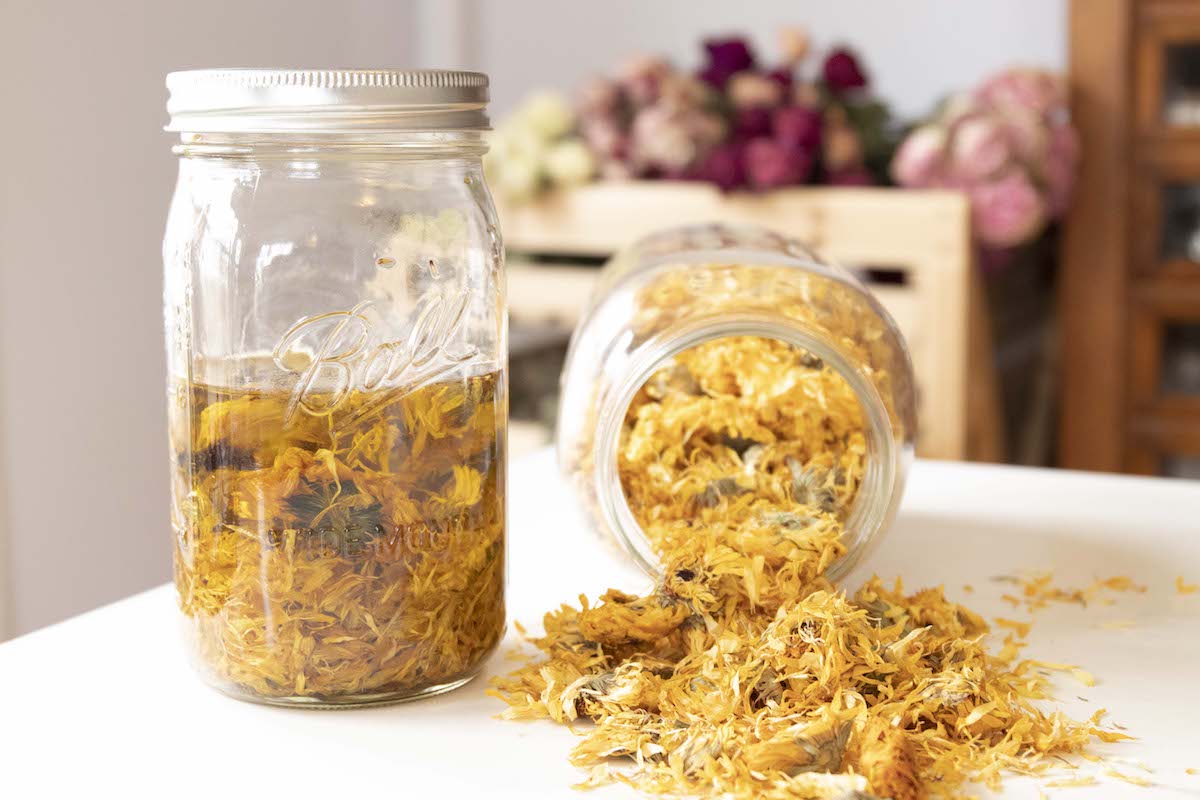 jar of calendula infused oil and dried calendula flowers spilling out of a jar
