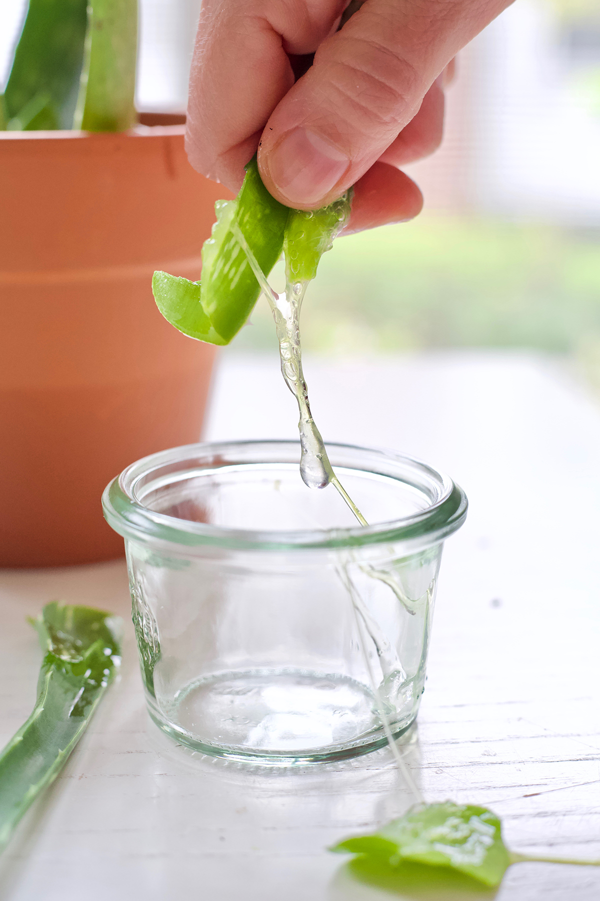 squeezing aloe vera into a jar