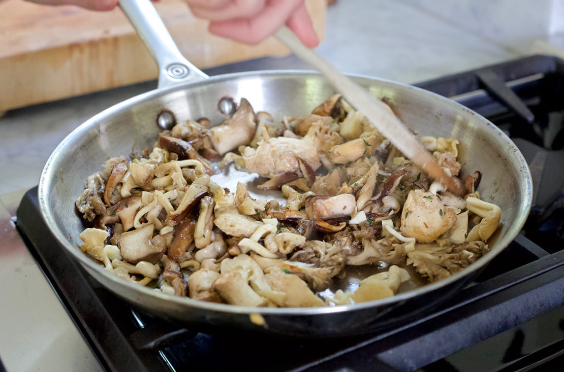 Edible Mushroom Cooking Classes