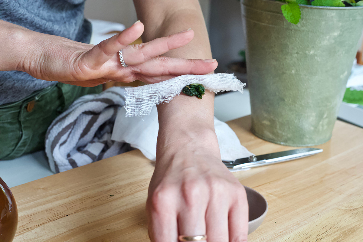 Easy DIY Bee Sting Poultice | Herbal Academy | As beautiful as it is to be outdoors in nature with the bees—sometimes you get stung! Learn how to make an herbal DIY bee sting poultice in this article.