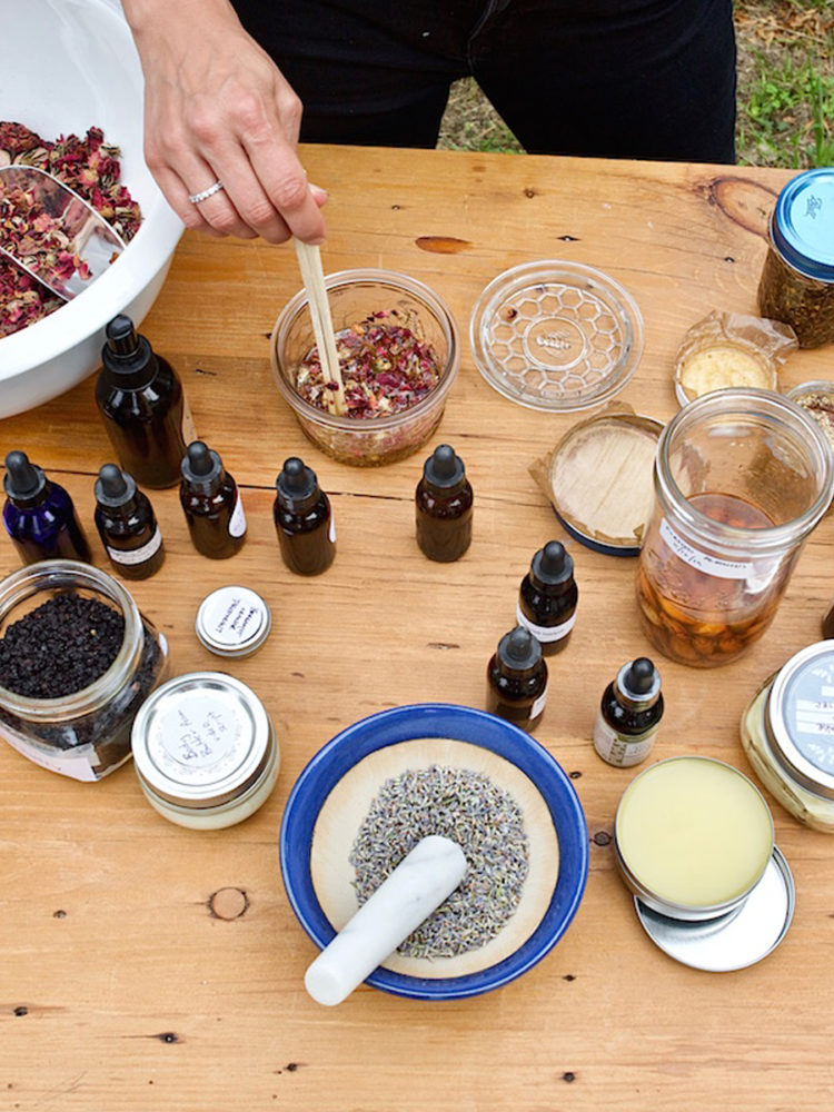 Introductory Herbal Course V1 6 Month Extension Herbal Academy