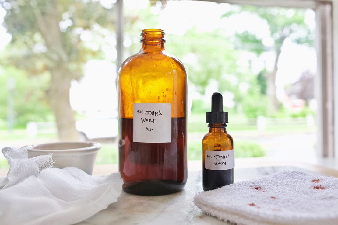 Two Basic St. John’s Wort Preparations To Keep In Stock | Herbal Academy | While there are many applications for use with St. John’s wort, here are two of our favorite basic St. John’s wort preparations to keep on hand.