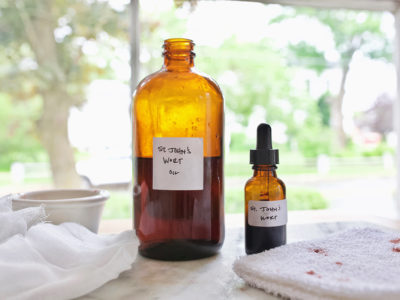 Two Basic St. John’s Wort Preparations To Keep In Stock | Herbal Academy | While there are many applications for use with St. John’s wort, here are two of our favorite basic St. John’s wort preparations to keep on hand.