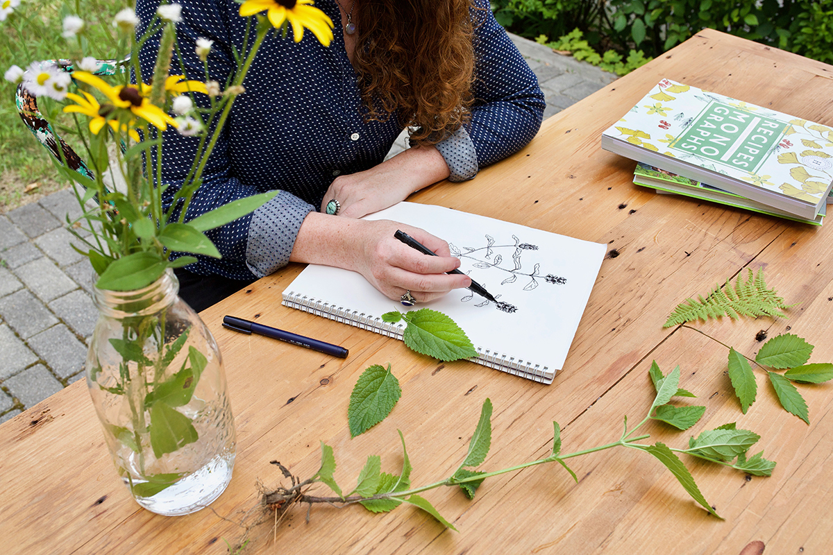 3 Ways To Use Self Heal In Your Materia Medica | Herbal Academy | Self heal is an herb who's many wellness-supporting virtues have been forgotten. Here are 3 ways to add this traditional herb back into your materia medica.