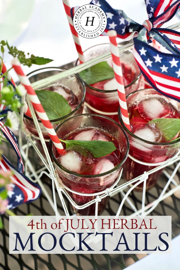 6 Herbal Mocktail Recipes For The 4th of July | Herbal Academy | This 4th of July, enjoy any of these six fruity herbal mocktail recipes that are safe for all ages while supporting the mind and body at the same time!