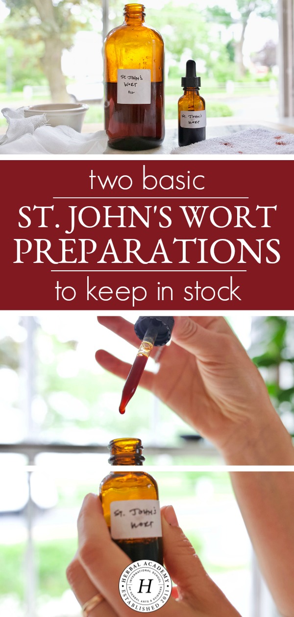 Two Basic St. John’s Wort Preparations To Keep In Stock | Herbal Academy | While there are many applications for use with St. John’s wort, here are two of our favorite basic St. John’s wort preparations to keep on hand.