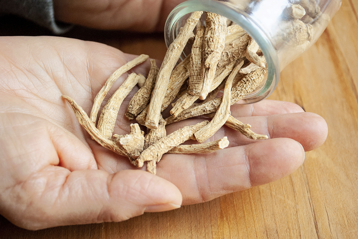 ashwagandha root pouring out of a jar