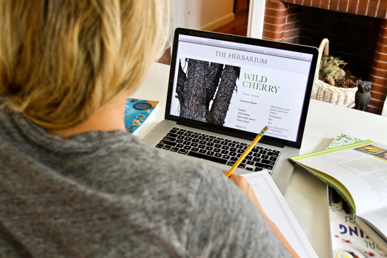 Super Affordable Resources For Learning Herbs Herbal Academy