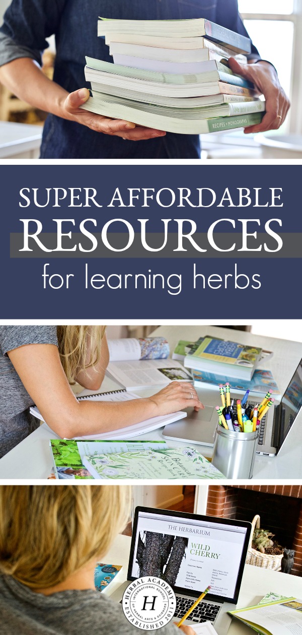 Super Affordable Resources For Learning Herbs | Herbal Academy | Today, we're sharing several affordable resources that you can use to help you learn more about herbs no matter where you are in your herbal journey!