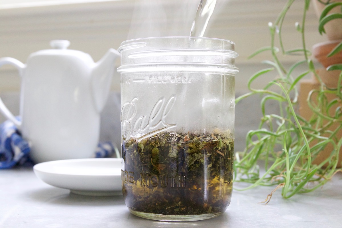 Our Favorite Herbs to Help You Get Your Study On (Plus, a DIY Memory Tonic Tea Recipe!) | Herbal Academy | Here are some of our favorite study herbs that can help you cope with stress, stay focused, and calm your mind during this hectic back to school season!