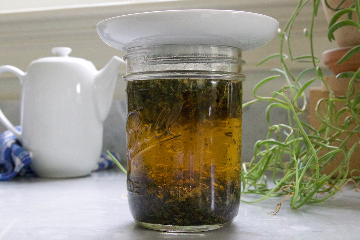 Our Favorite Herbs to Help You Get Your Study On (Plus, a DIY Memory Tonic Tea Recipe!) | Herbal Academy | Here are some of our favorite study herbs that can help you cope with stress, stay focused, and calm your mind during this hectic back to school season!