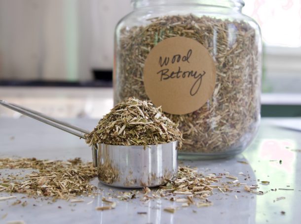 Our Favorite Study Herbs (Plus A Memory Tonic Tea Recipe)