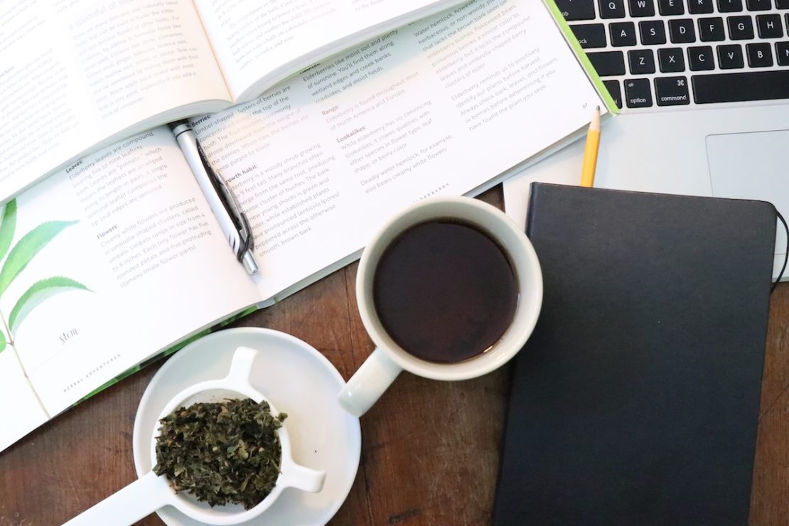 Our Favorite Herbs to Help You Get Your Study On (Plus, a DIY Memory Tonic Tea Recipe!) | Herbal Academy | Here are some of our favorite study herbs that can help you cope with stress, stay focused, and calm your mind during this hectic back to school season!