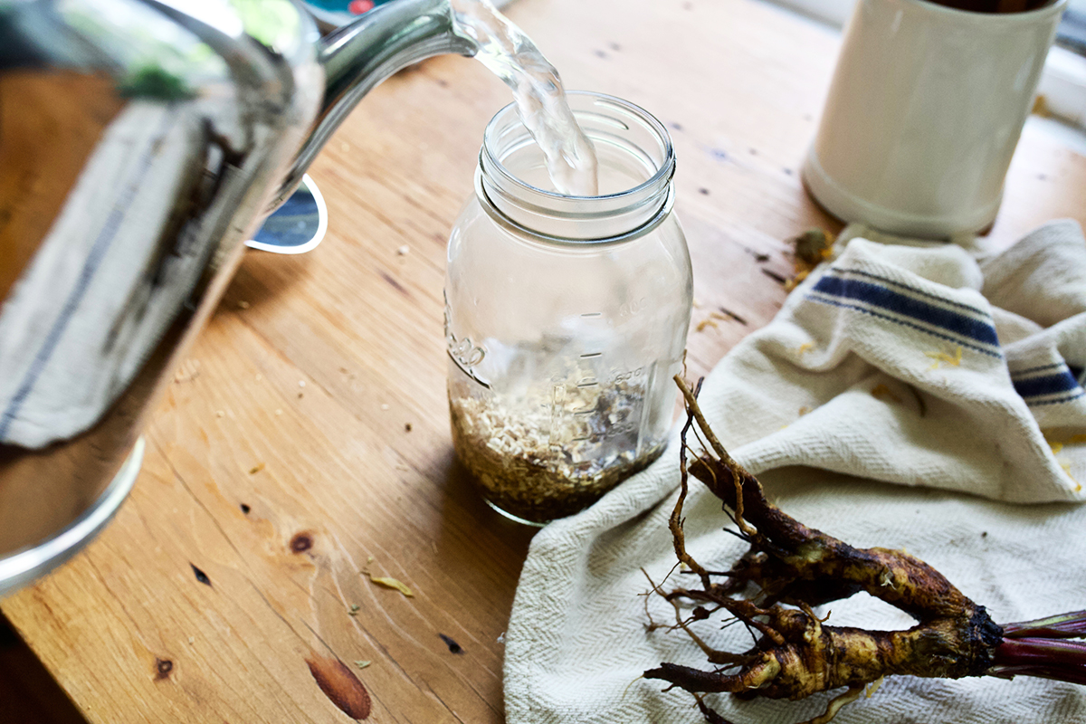 How to Make a DIY Autumn Root Tonic | Herbal Academy | When autumn shows its signs, it may be time to incorporate herbal roots into your diet in the form of an autumn root tonic to support your vitality.