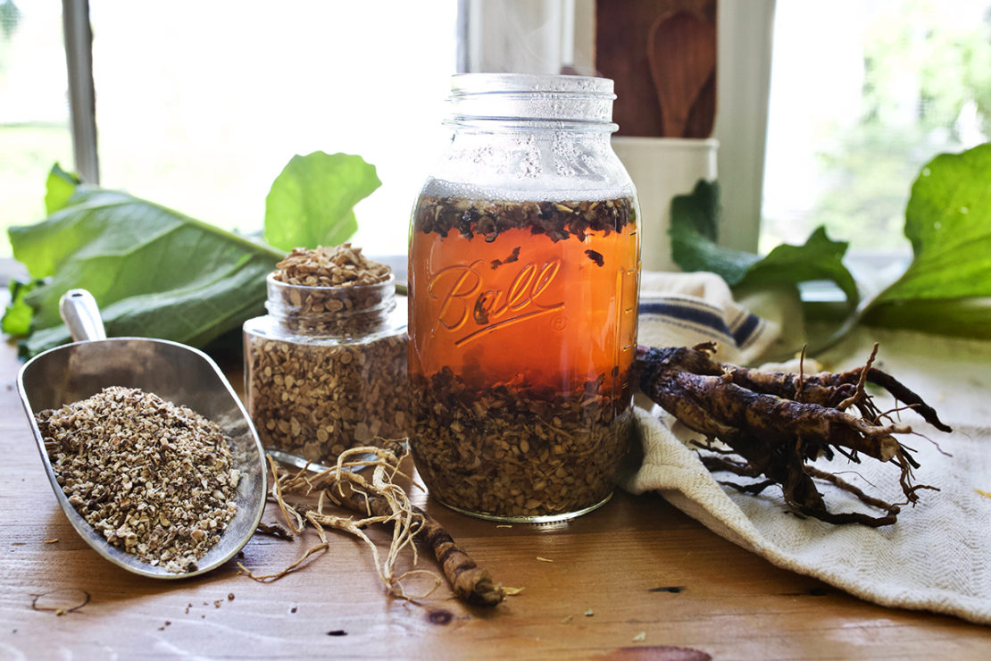 How to Make a DIY Autumn Root Tonic | Herbal Academy | When autumn shows its signs, it may be time to incorporate herbal roots into your diet in the form of an autumn root tonic to support your vitality.