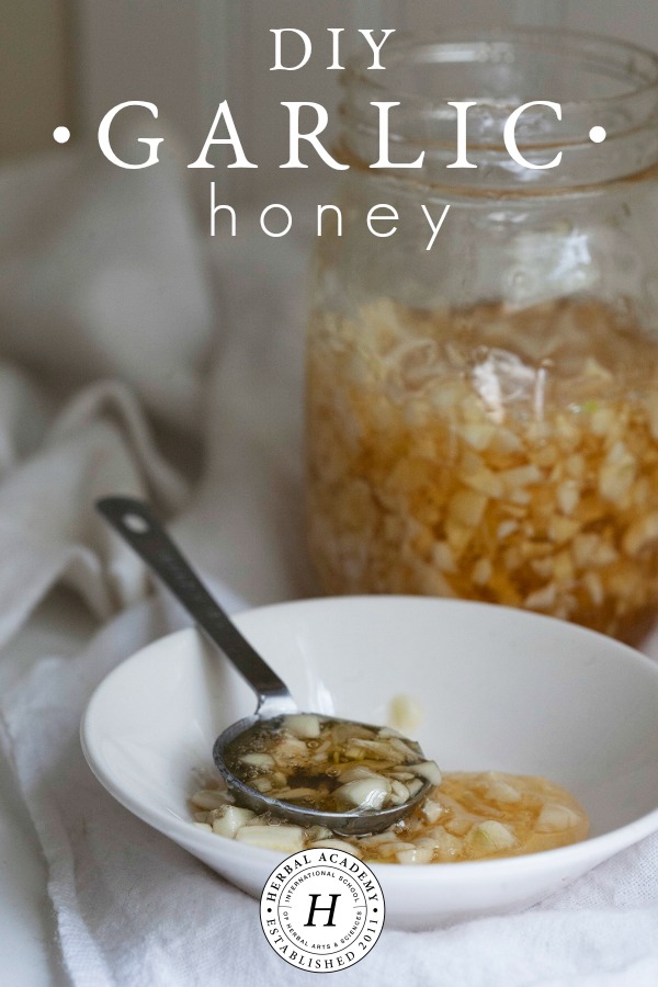 DIY Garlic Honey for For Cold & Flu Season Preparation | Herbal Academy | It’s easy to feel defenseless against unseen pathogens during cold and flu season, but having some garlic honey on hand will help you to be better prepared! 